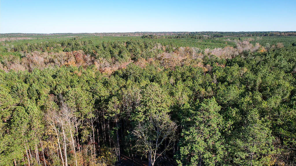 1203 Miles Road Harlem, GA 30814 - Photo 3 of 13 1203_Miles_Rd_3