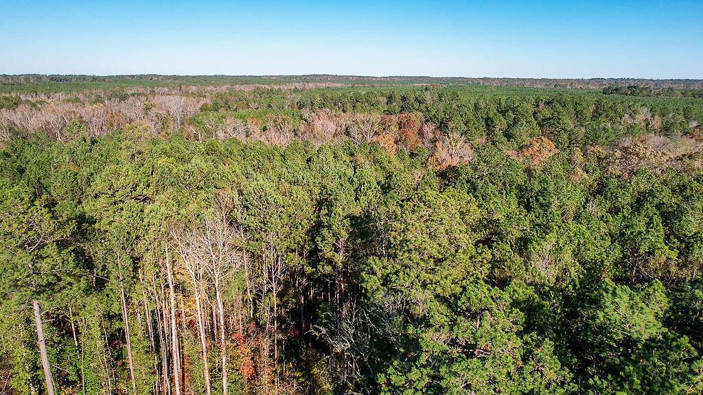 1203 Miles Road Harlem, GA 30814 - Photo 4 of 13 1203_Miles_Rd_4