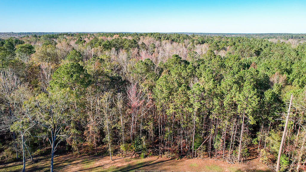 1203 Miles Road Harlem, GA 30814 - Photo 5 of 13 1203_Miles_Rd_5