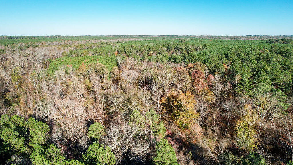 1203 Miles Road Harlem, GA 30814 - Photo 6 of 13 1203_Miles_Rd_6
