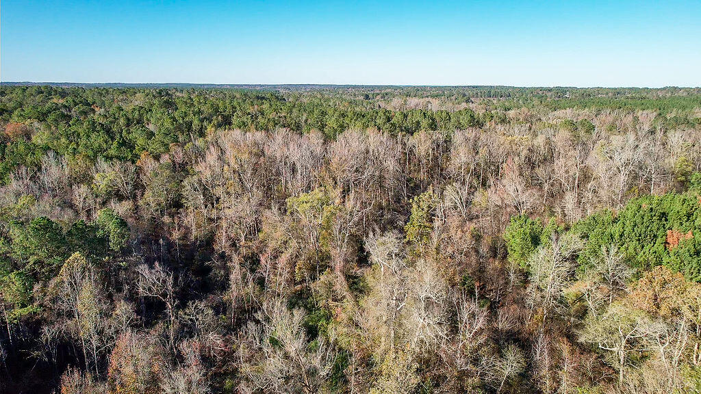 1203 Miles Road Harlem, GA 30814 - Photo 9 of 13 1203_Miles_Rd_9