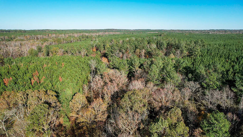 1203 Miles Road Harlem, GA 30814 - Photo 10 of 13 1203_Miles_Rd_10