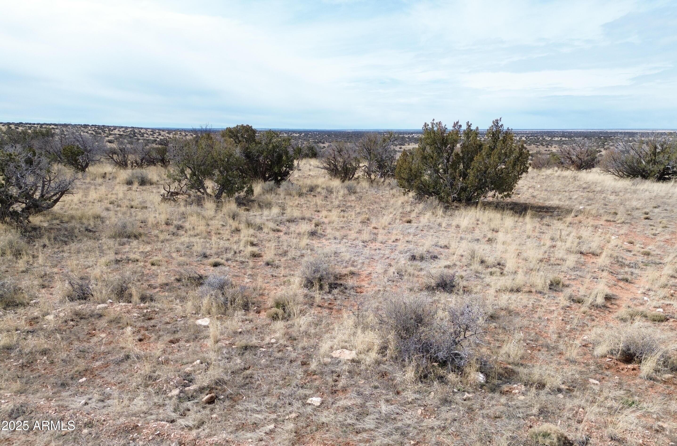 6297 Dewitt Drive Heber, AZ 85928 - Photo 11 of 18 a view of sky view