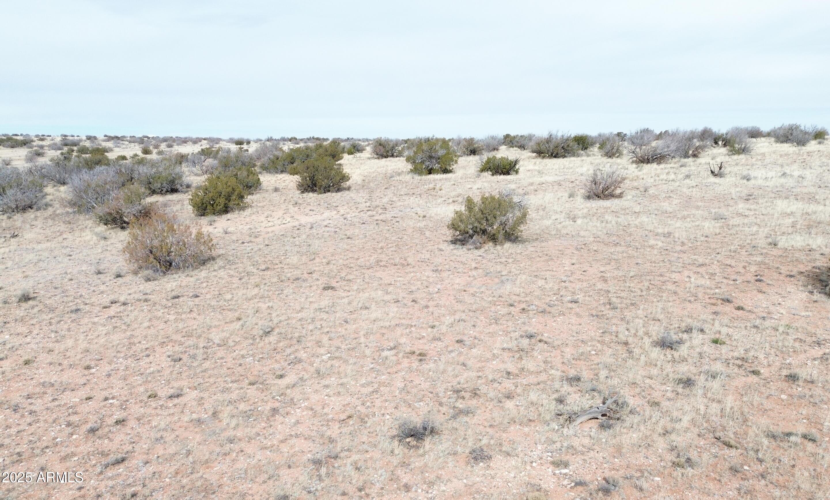 6297 Dewitt Drive Heber, AZ 85928 - Photo 12 of 18 a view of a dry yard with wooden fence