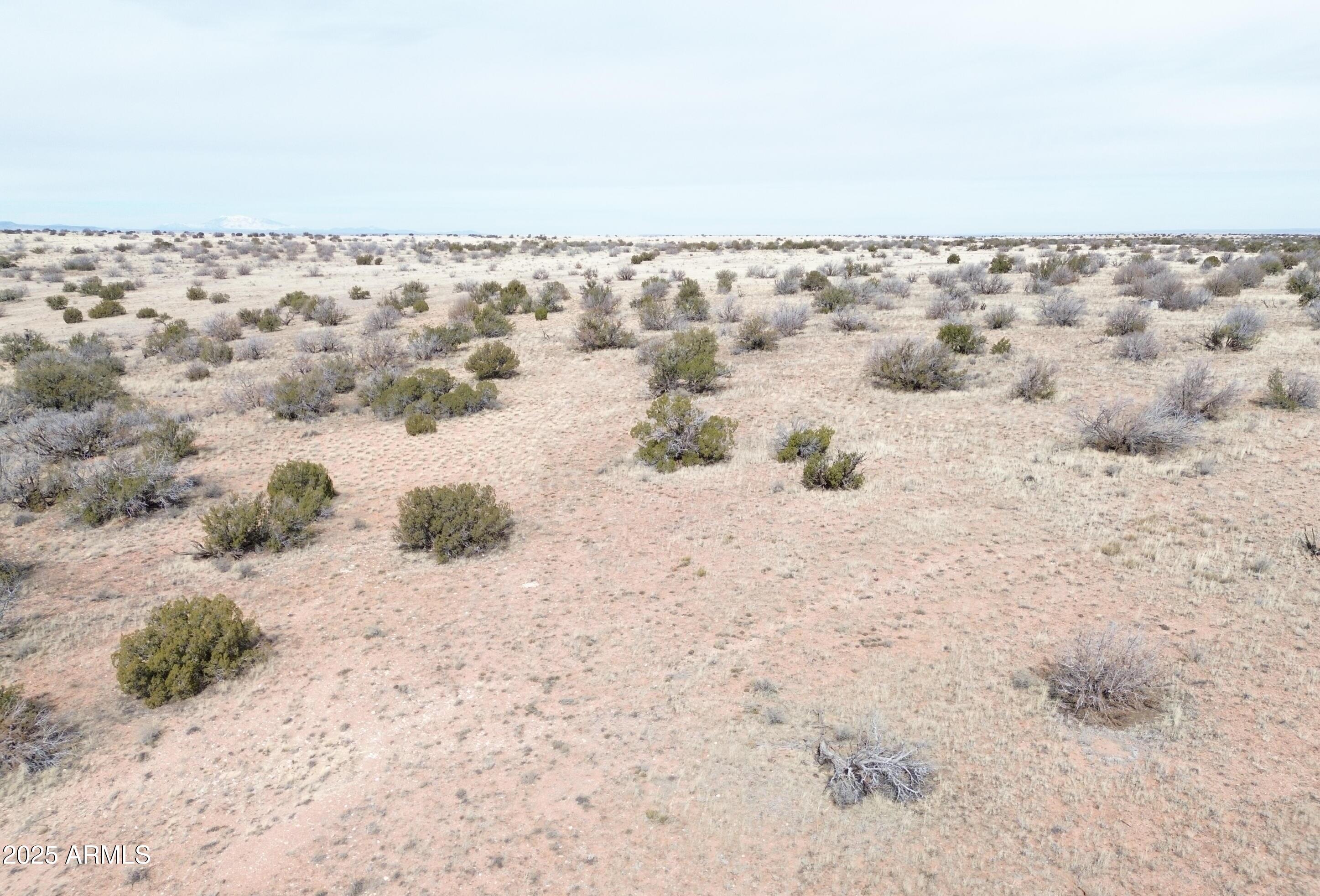 6297 Dewitt Drive Heber, AZ 85928 - Photo 13 of 18 a view of terrace with covered in snow