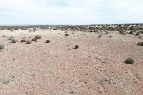 a view of a dry yard