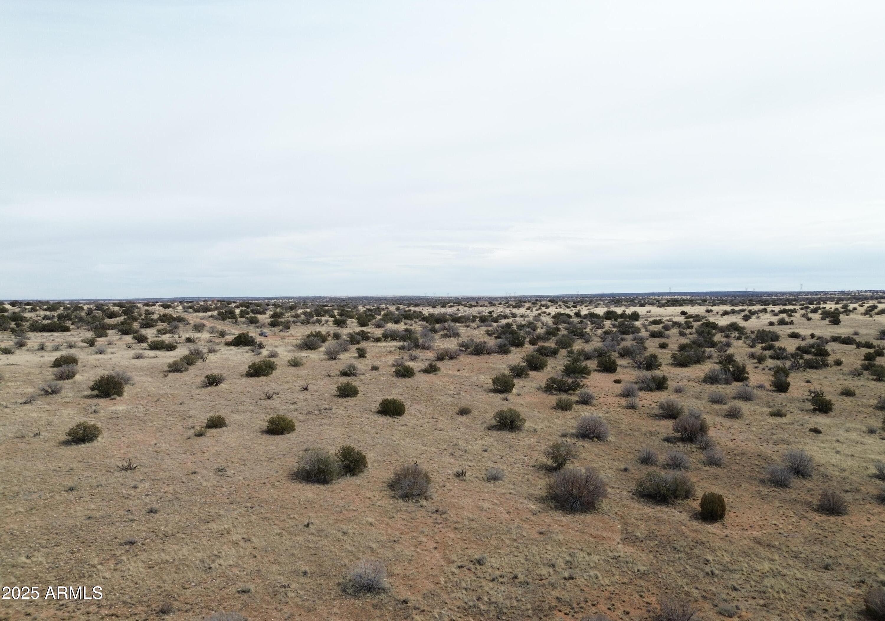 6297 Dewitt Drive Heber, AZ 85928 - Photo 17 of 18