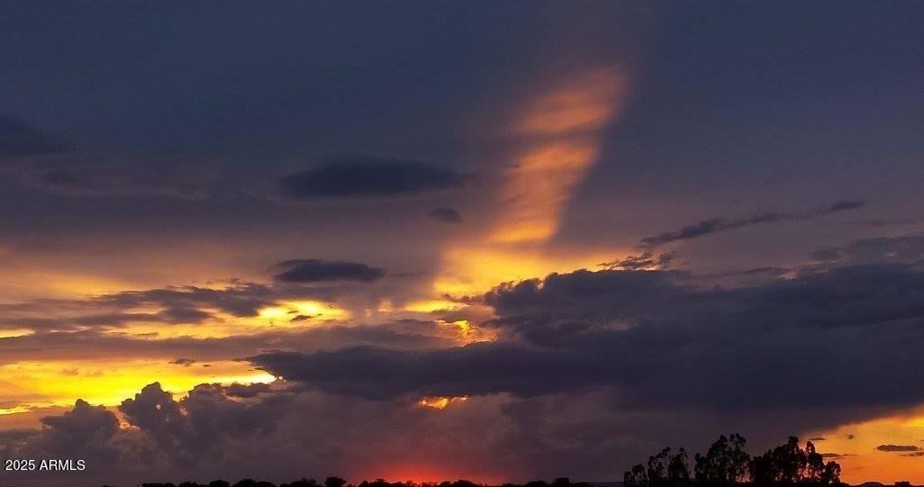 6297 Dewitt Drive Heber, AZ 85928 - Photo 18 of 18