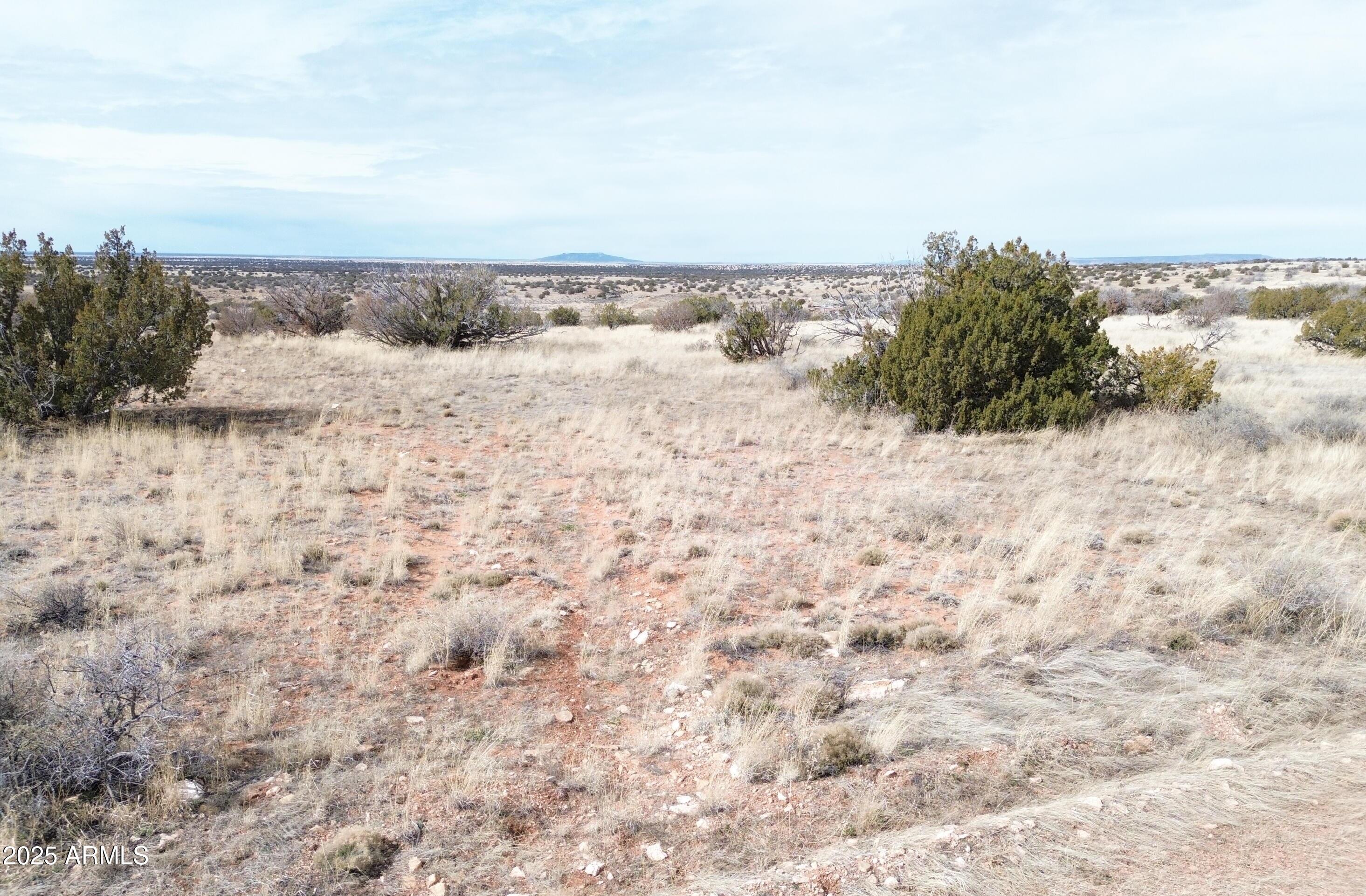 6297 Dewitt Drive Heber, AZ 85928 - Photo 7 of 18