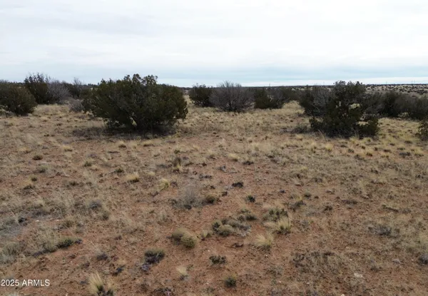a view of a dry field with trees in the background