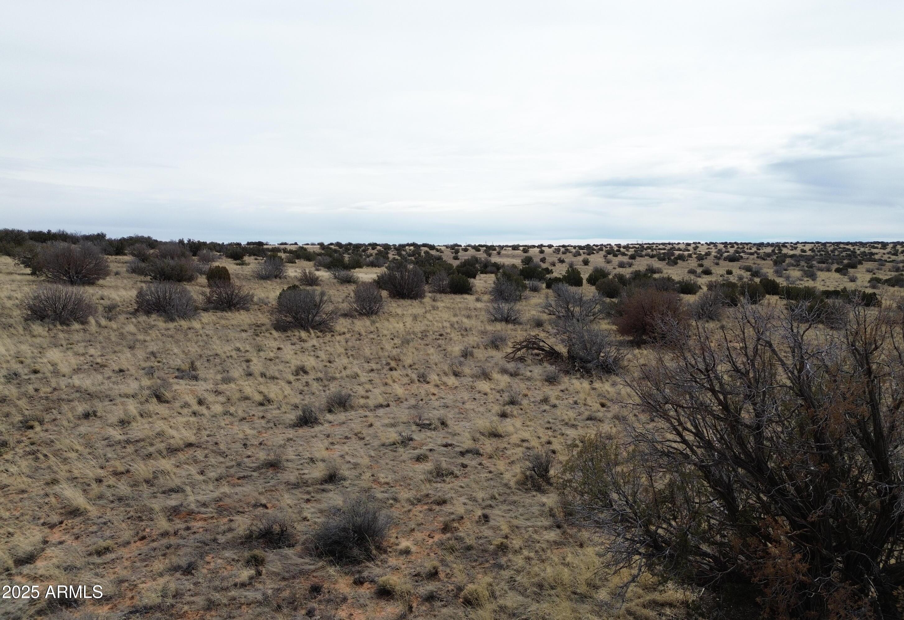 6297 Dewitt Drive Heber, AZ 85928 - Photo 9 of 18 a view of a city