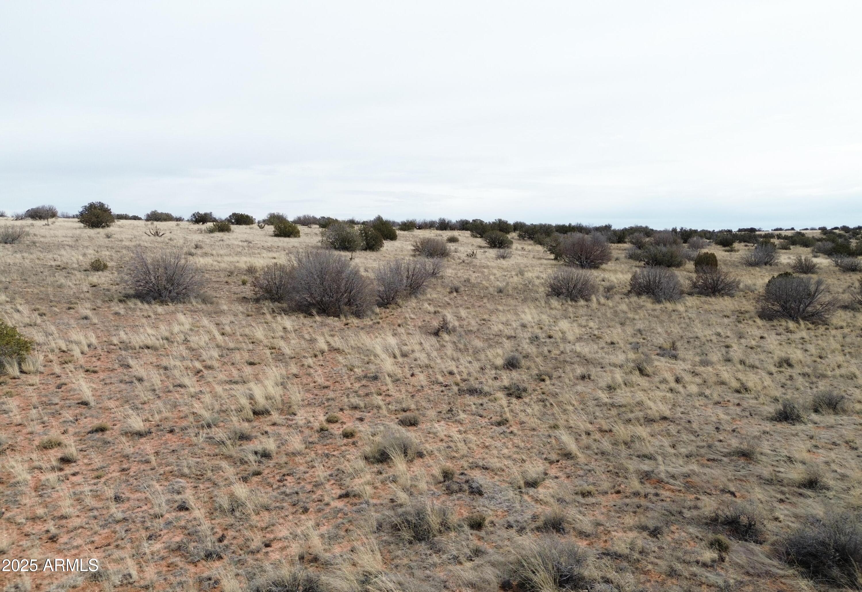 6297 Dewitt Drive Heber, AZ 85928 - Photo 10 of 18 a view of a dry field with trees in the background