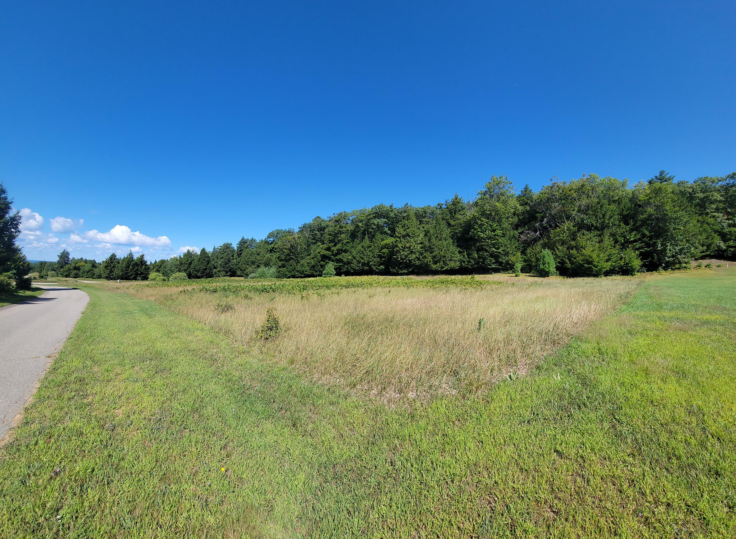 North Slope Drive Onekama, MI 49675 - Photo 11 of 30 Looking NW