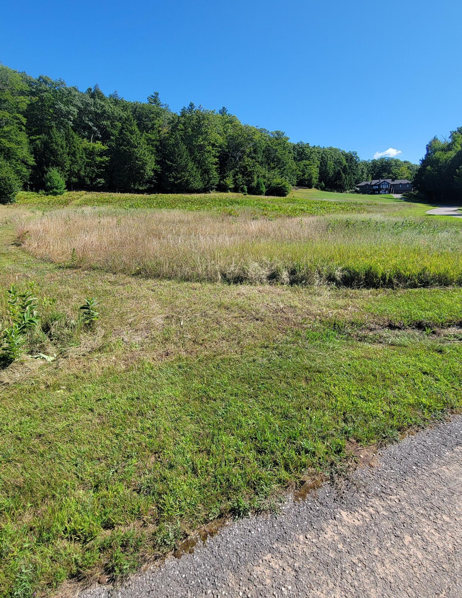 North Slope Drive Onekama, MI 49675 - Photo 13 of 30 View Northeast
