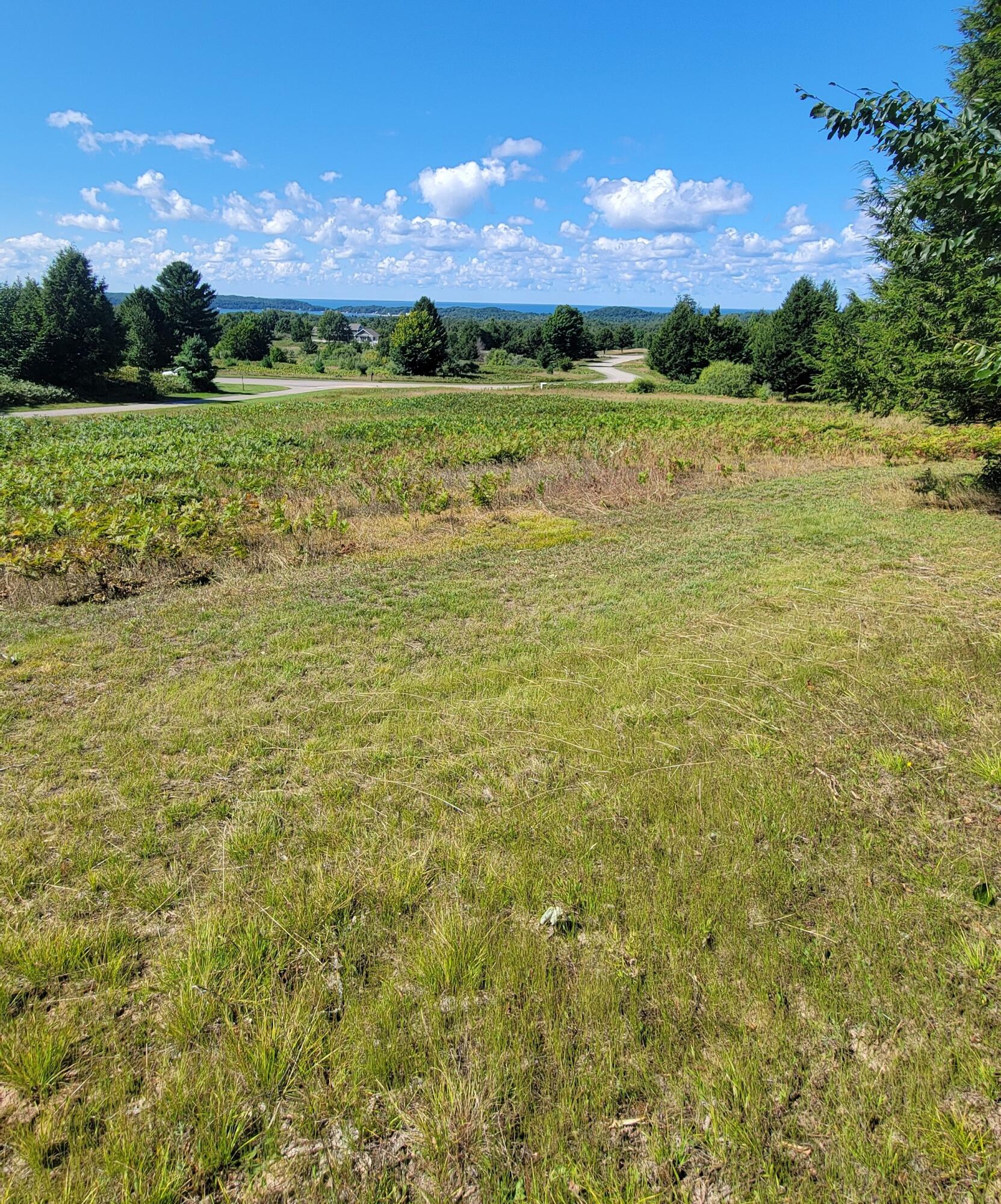 North Slope Drive Onekama, MI 49675 - Photo 14 of 30 View SW