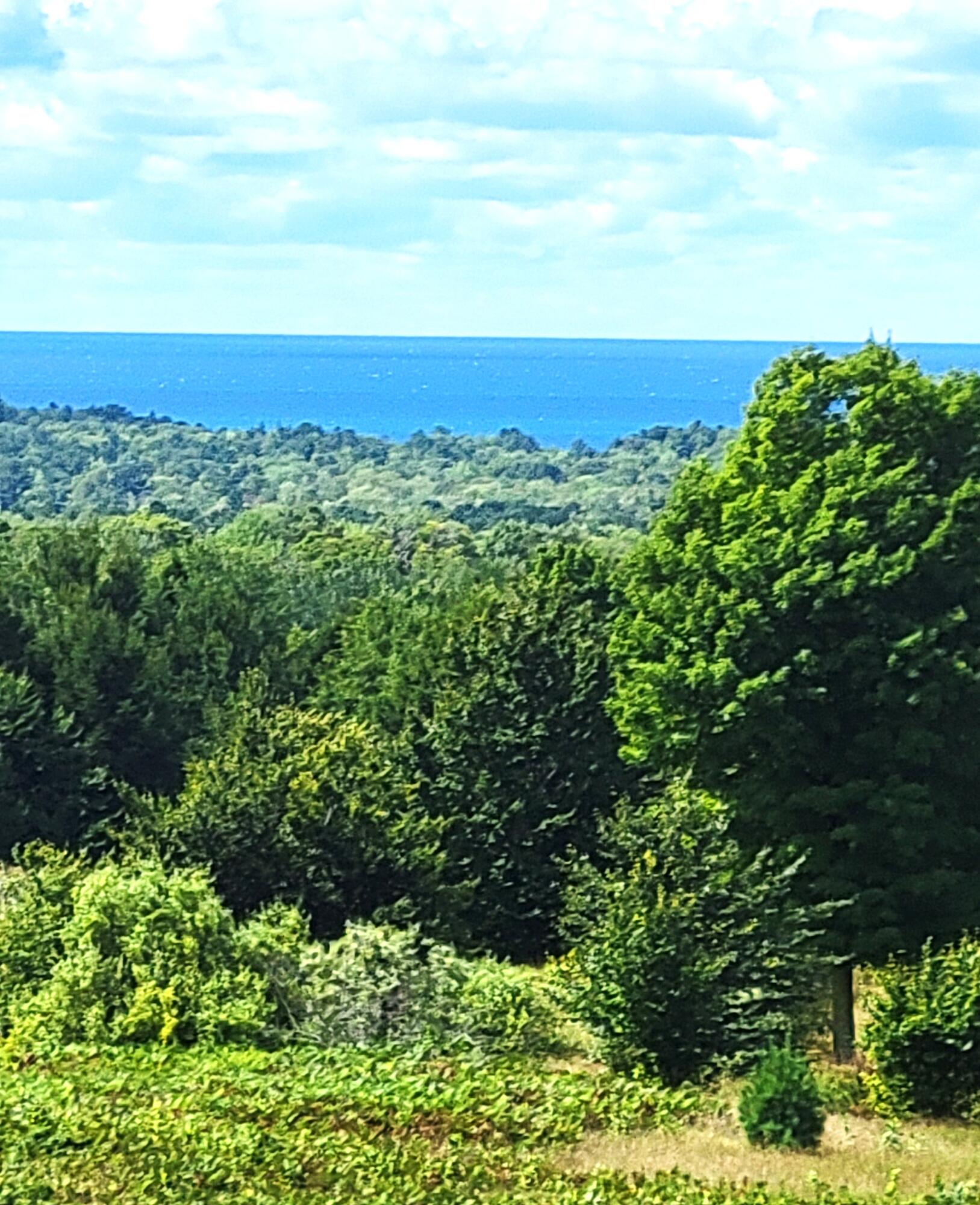 North Slope Drive Onekama, MI 49675 - Photo 4 of 30 View W