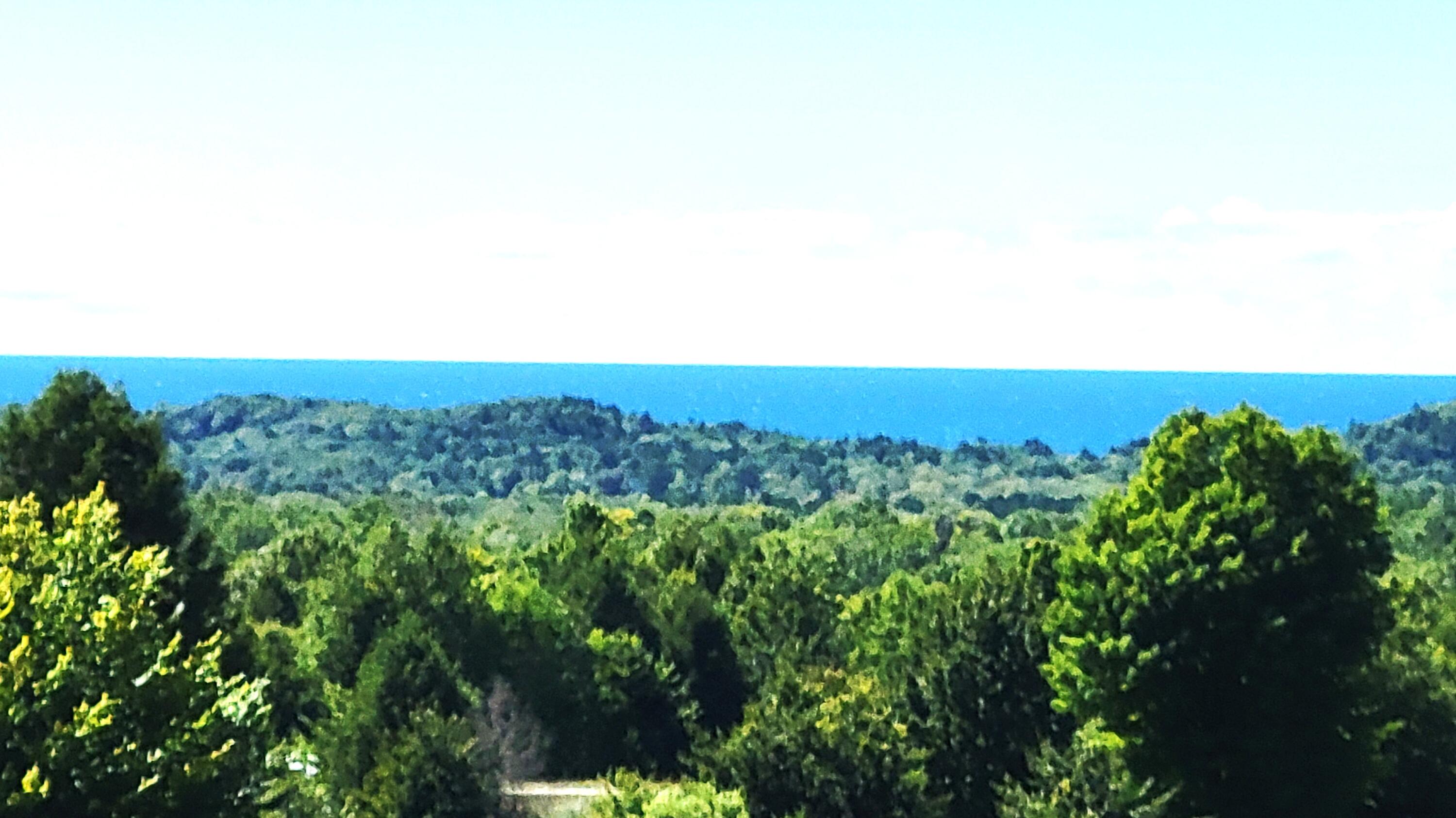 North Slope Drive Onekama, MI 49675 - Photo 8 of 30 Lk Michigan