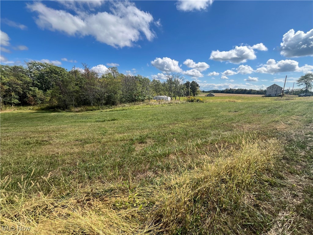 71330 Old Twenty One Road Kimbolton, OH 43749 - Photo 14 of 49