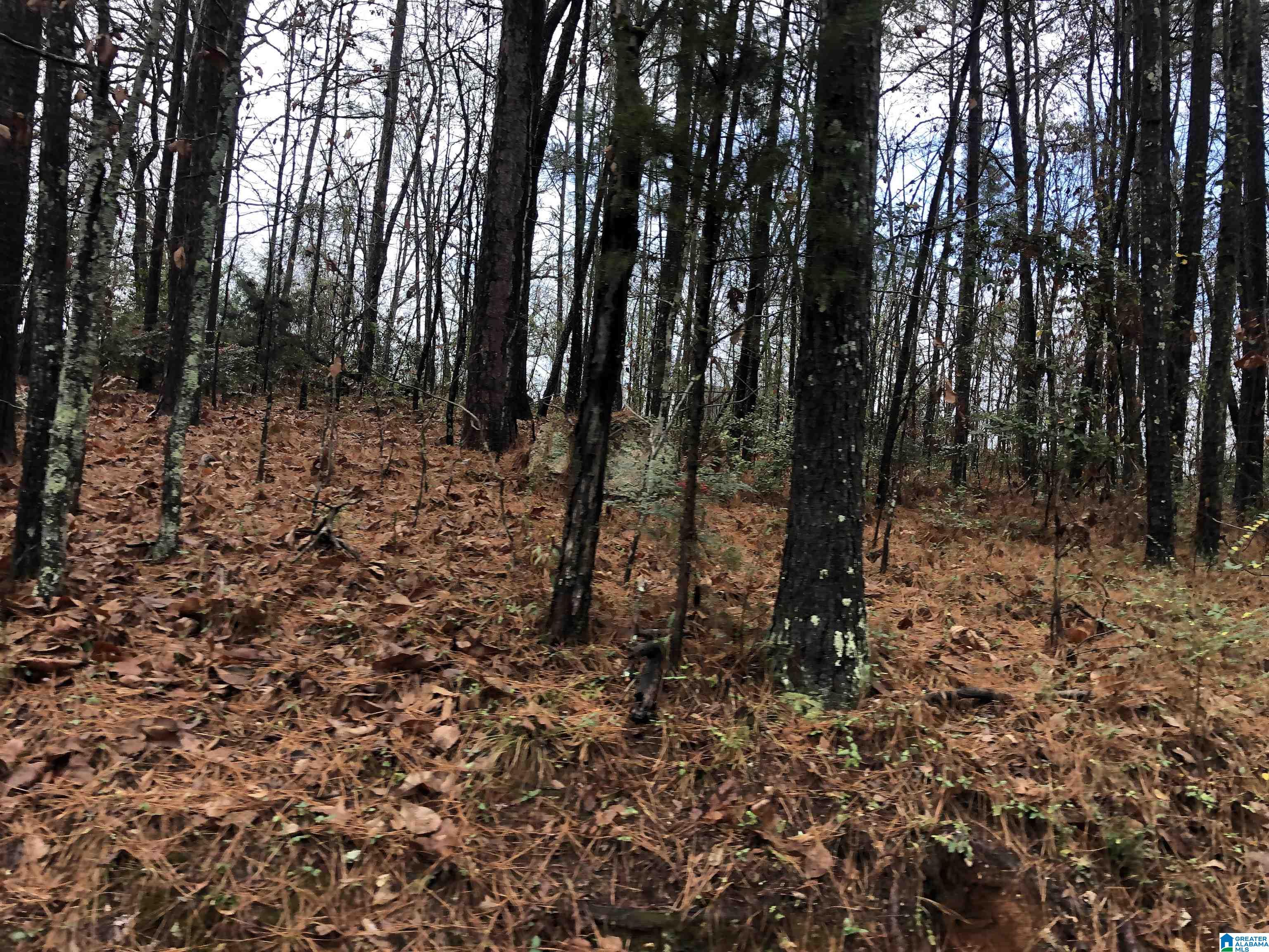 0 Autumn Ridge Trail, Unit 26 Pell City, AL 35128 - Photo 27 of 31
