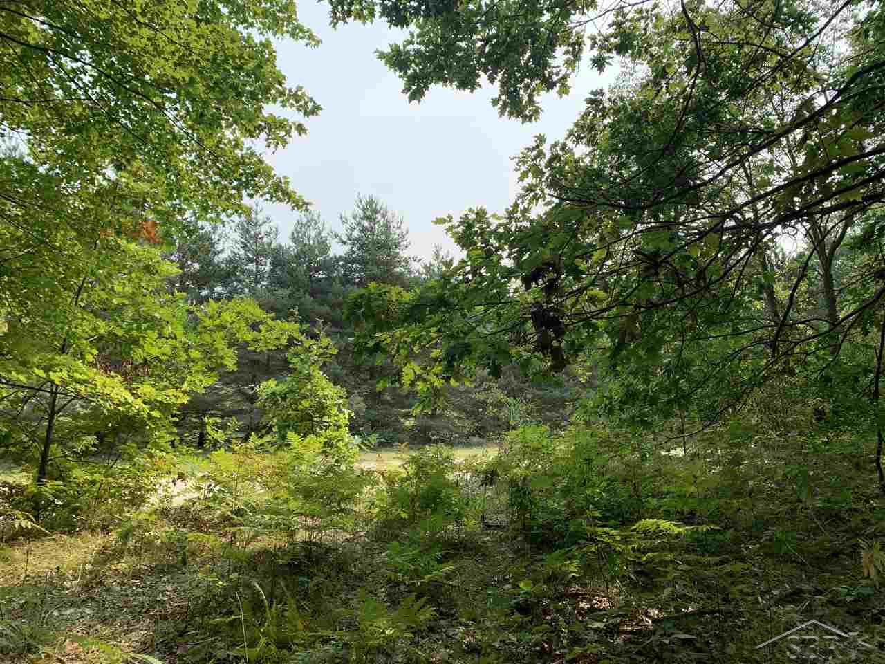 V/l Washburn Road Vassar, MI 48768 - Photo 5 of 5