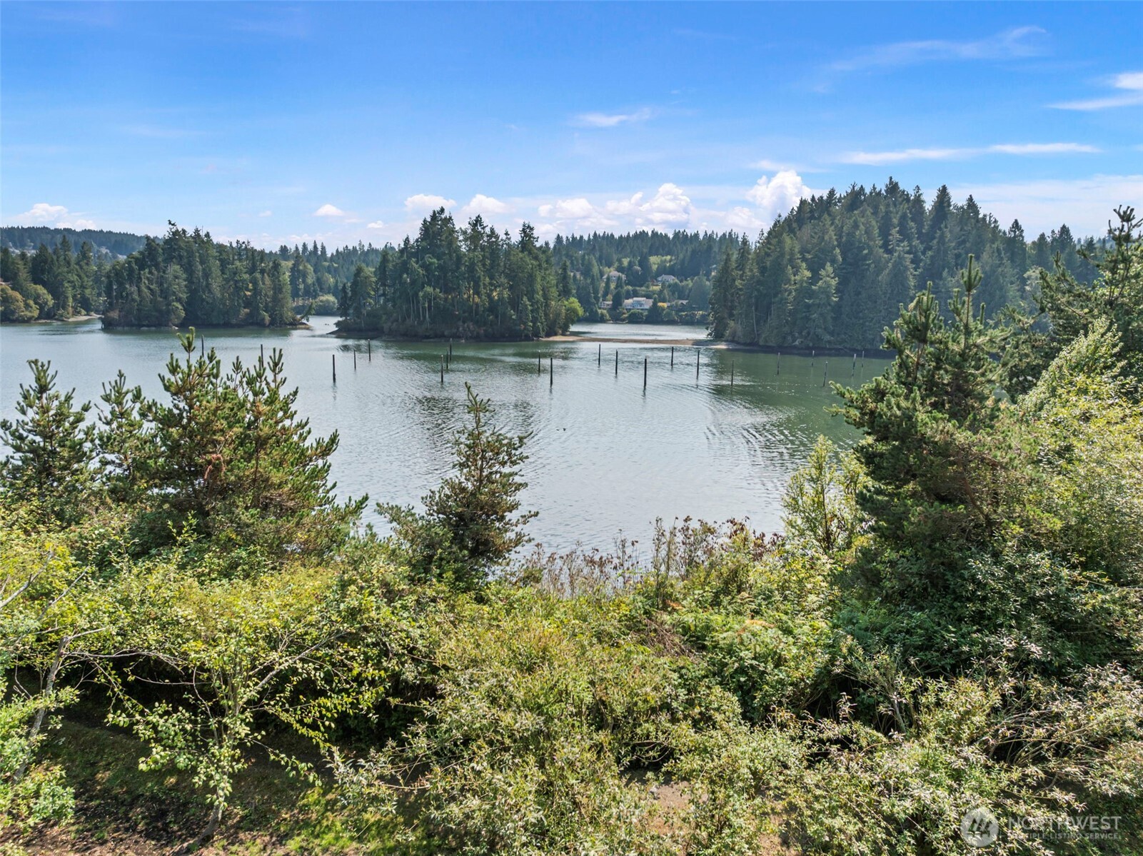 150 Ebb Tide Court Port Ludlow, WA 98365 - Photo 11 of 15 a view of a lake in middle of forest