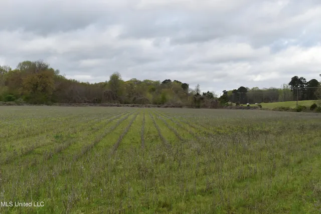 $550,000 | 0 Hwy 278 Batesville Ms 38606, Batesville, MS 38606