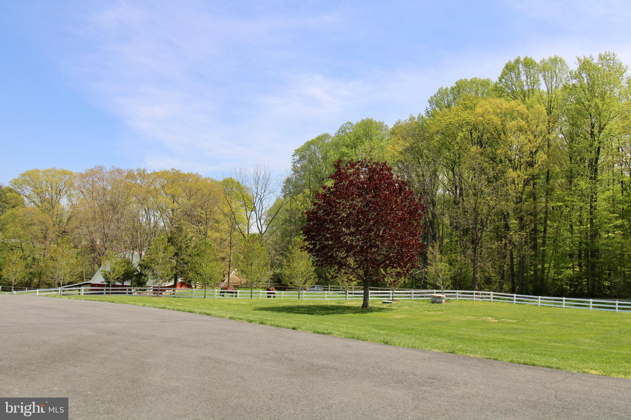 6512 Stallion Road Clifton, VA 20124 - Photo 69 of 73 Gallery Image 69
