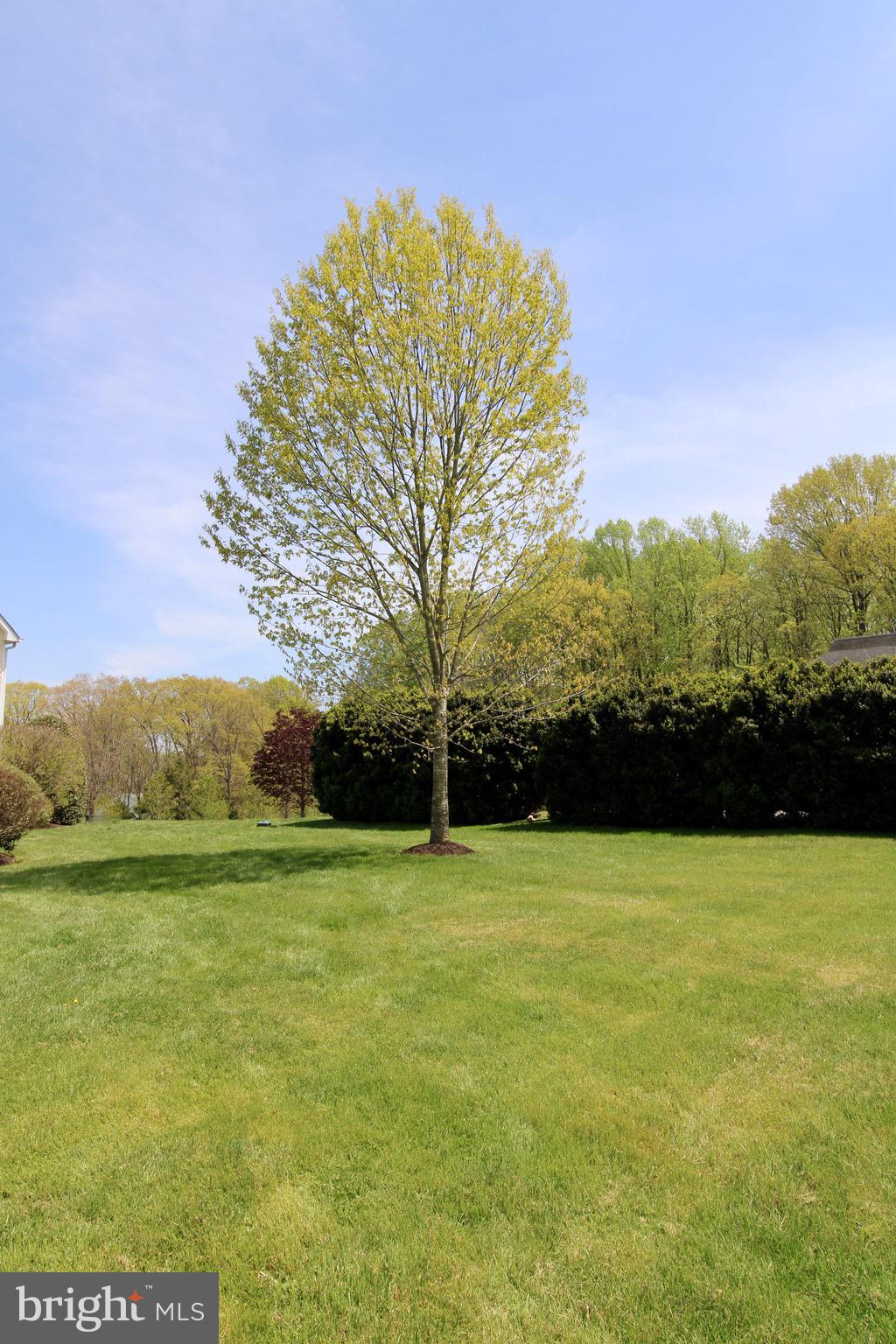6512 Stallion Road Clifton, VA 20124 - Photo 70 of 73 Gallery Image 70
