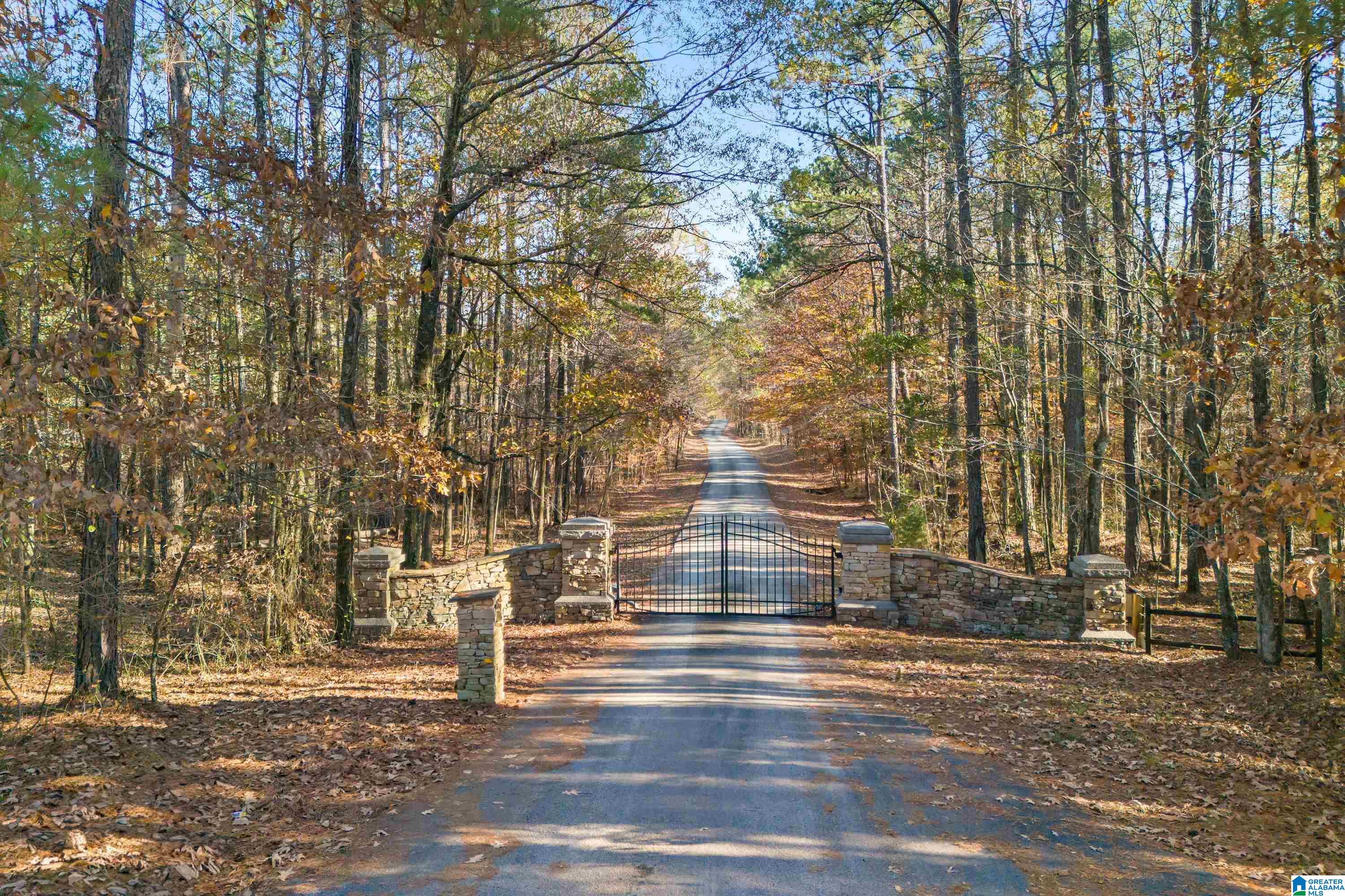 0 Pumpkin Hollow Road Sterrett, AL 35147 - Photo 8 of 55
