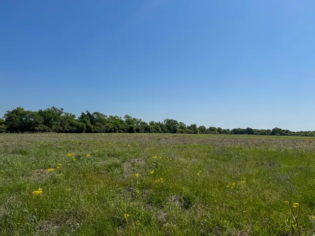 $199,000 | 123 County Road 123, Iola, TX 77861