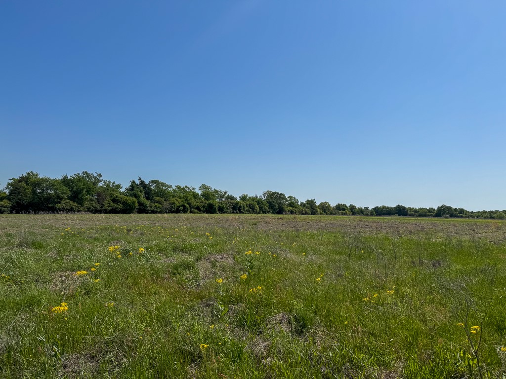 123 County Road 123 Iola, TX 77861 - Photo 1 of 11