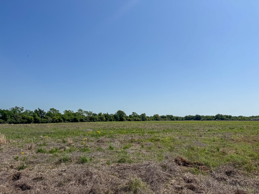 123 County Road 123 Iola, TX 77861 - Photo 3 of 11