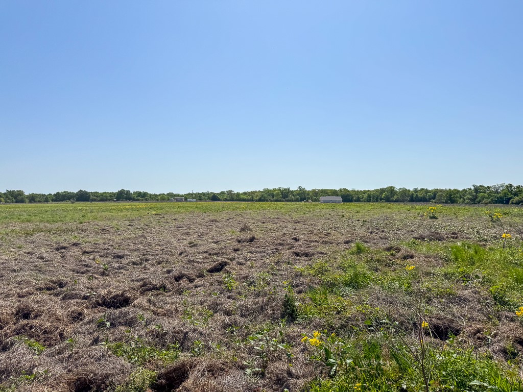 123 County Road 123 Iola, TX 77861 - Photo 4 of 11 Great Sandy Loam Soil