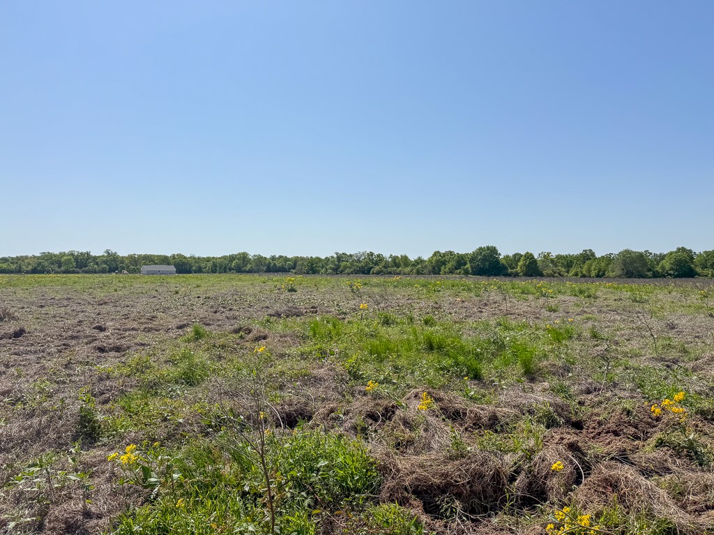 123 County Road 123 Iola, TX 77861 - Photo 6 of 11