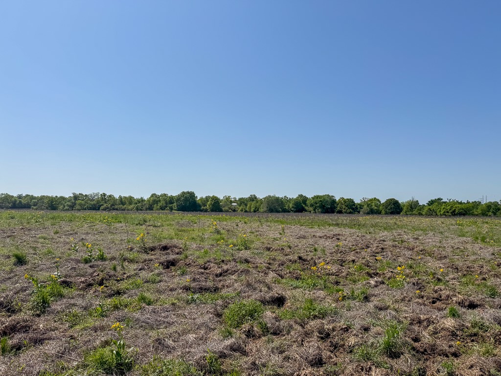 123 County Road 123 Iola, TX 77861 - Photo 7 of 11