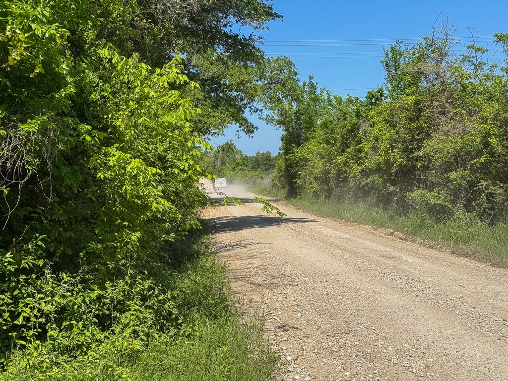 123 County Road 123 Iola, TX 77861 - Photo 10 of 11