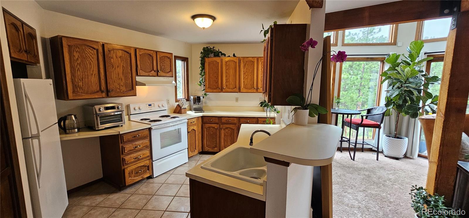 27901 Pine Drive Evergreen, CO 80439 - Photo 12 of 32