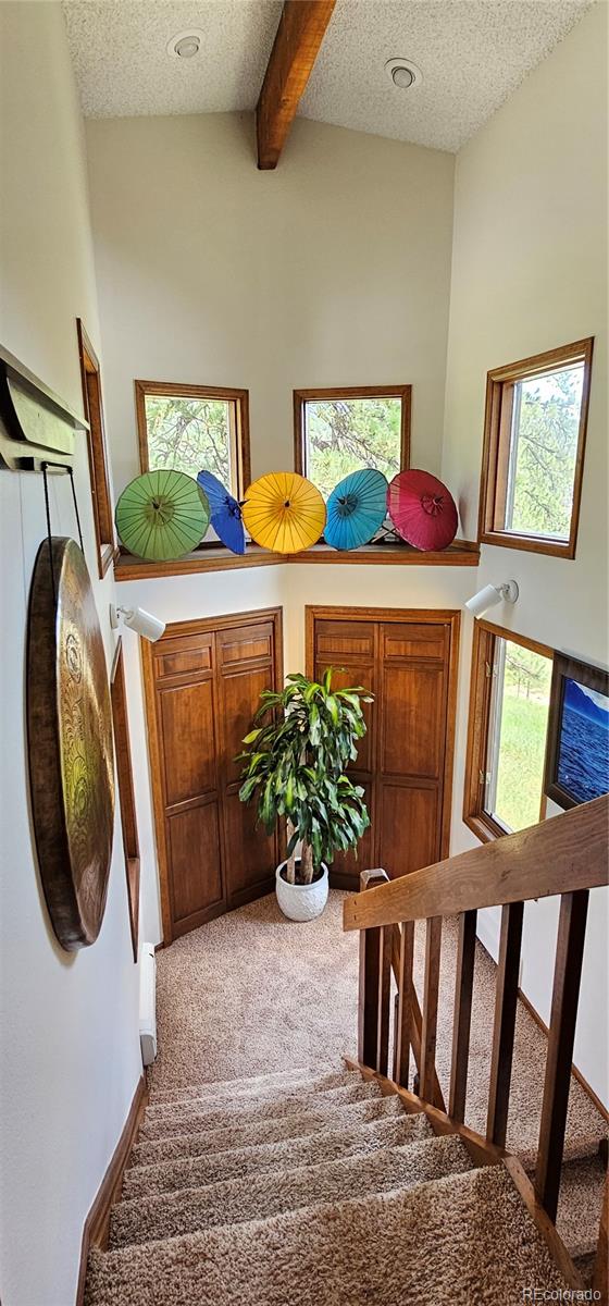 27901 Pine Drive Evergreen, CO 80439 - Photo 14 of 32