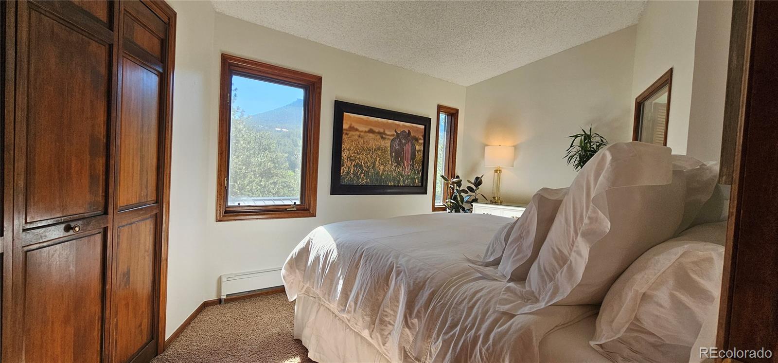 27901 Pine Drive Evergreen, CO 80439 - Photo 16 of 32