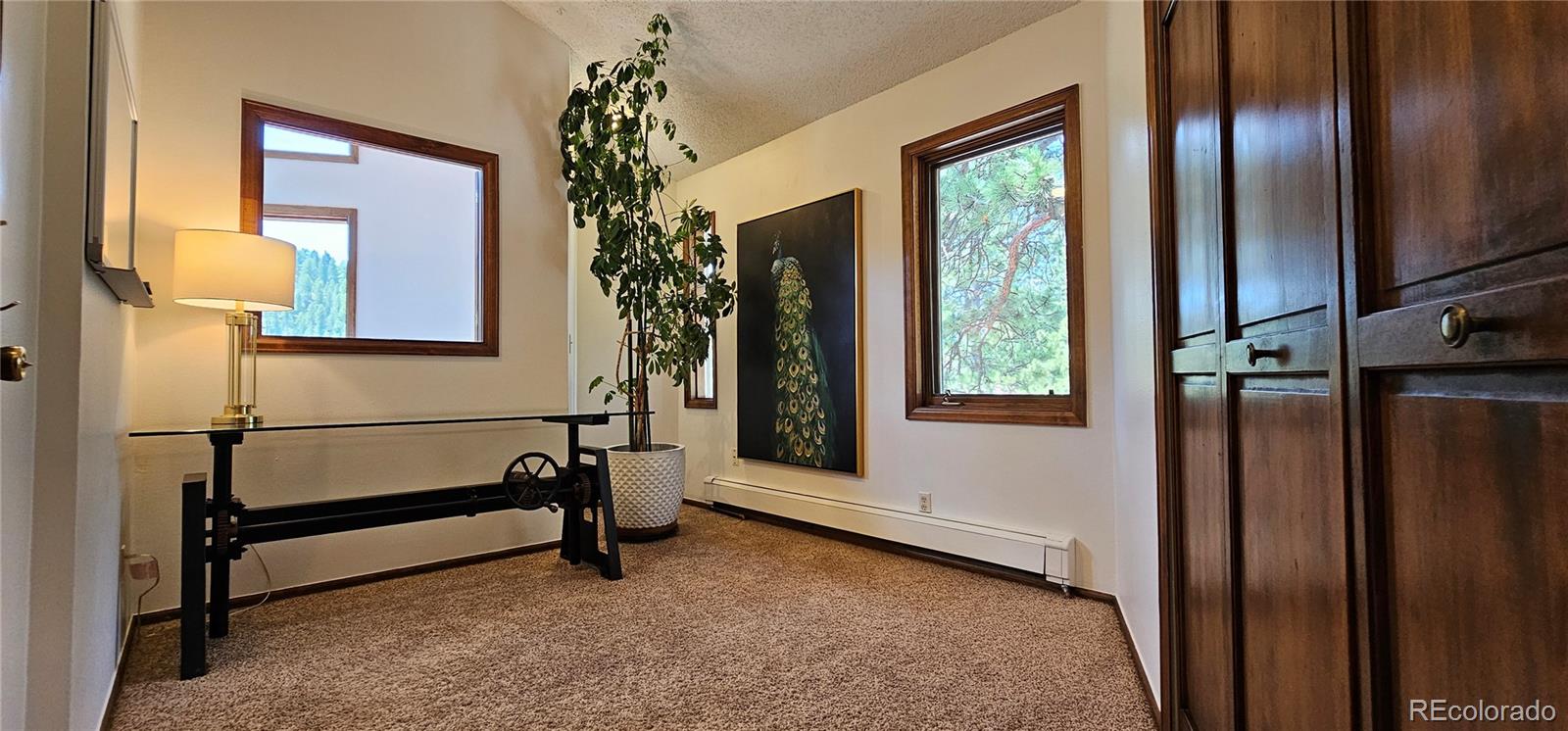 27901 Pine Drive Evergreen, CO 80439 - Photo 17 of 32