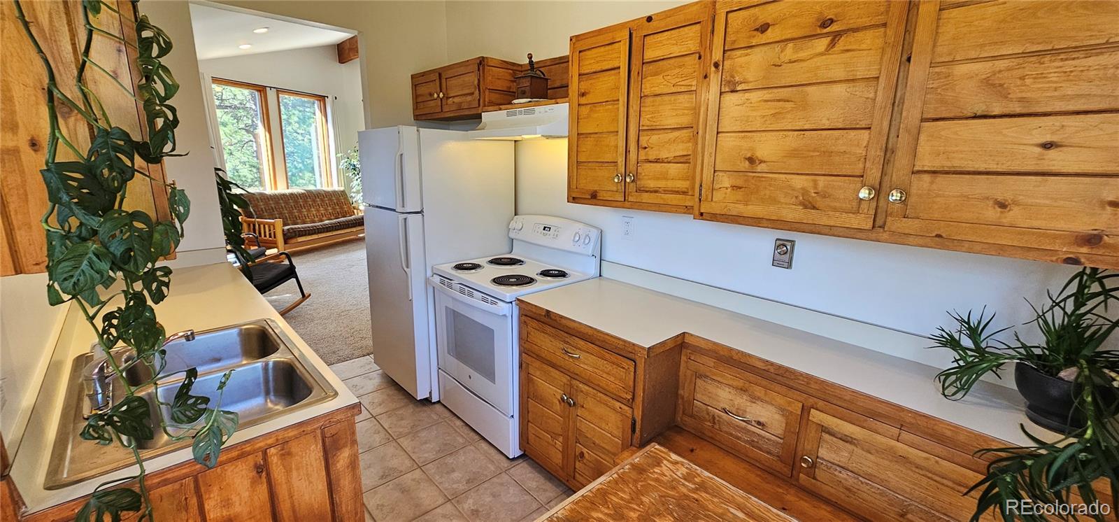 27901 Pine Drive Evergreen, CO 80439 - Photo 23 of 32