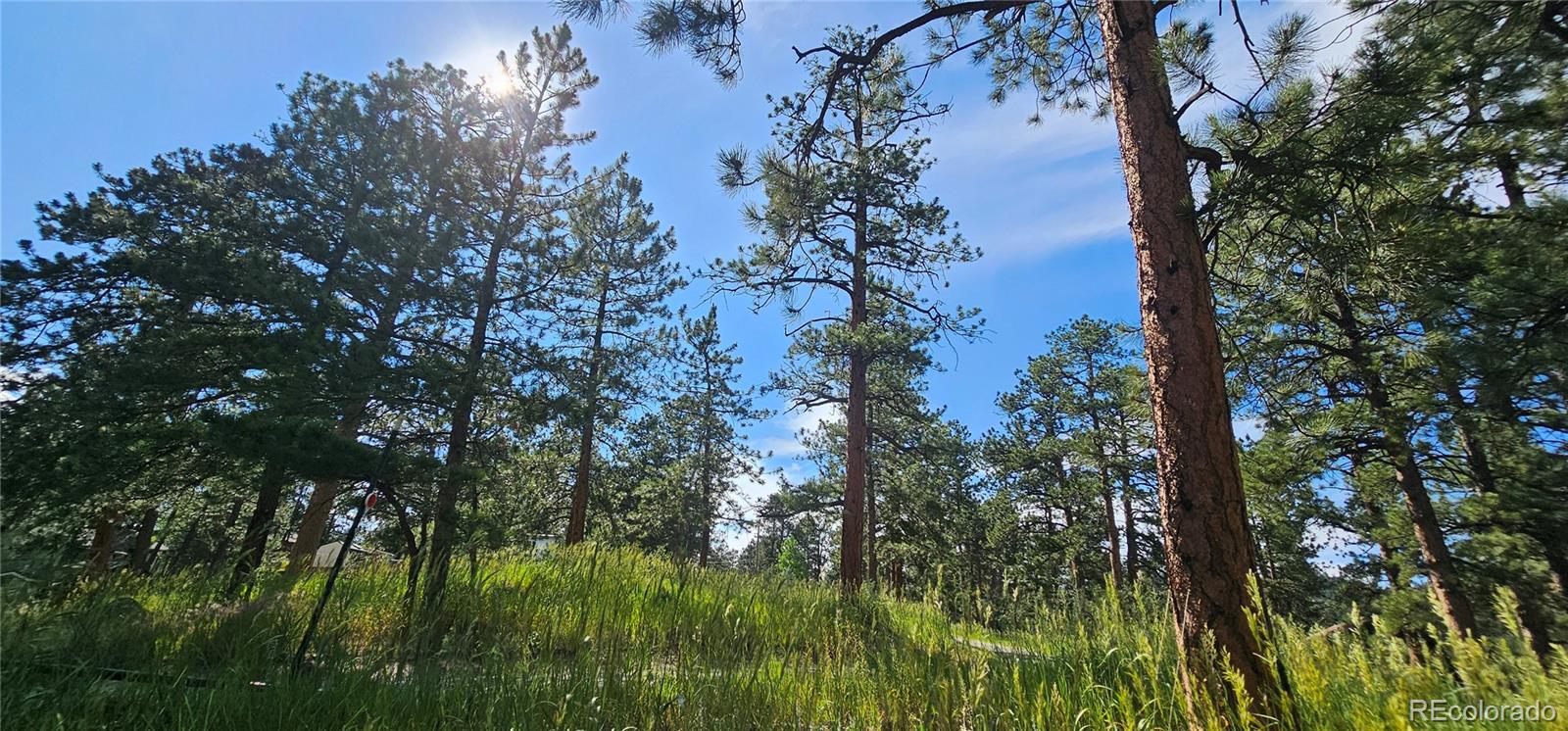 27901 Pine Drive Evergreen, CO 80439 - Photo 27 of 32