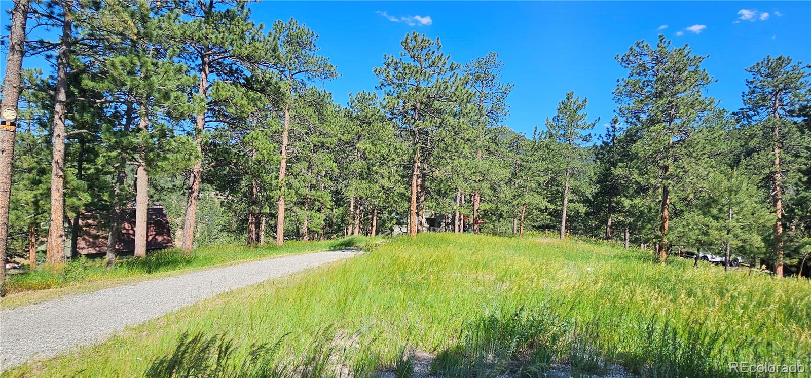 27901 Pine Drive Evergreen, CO 80439 - Photo 28 of 32