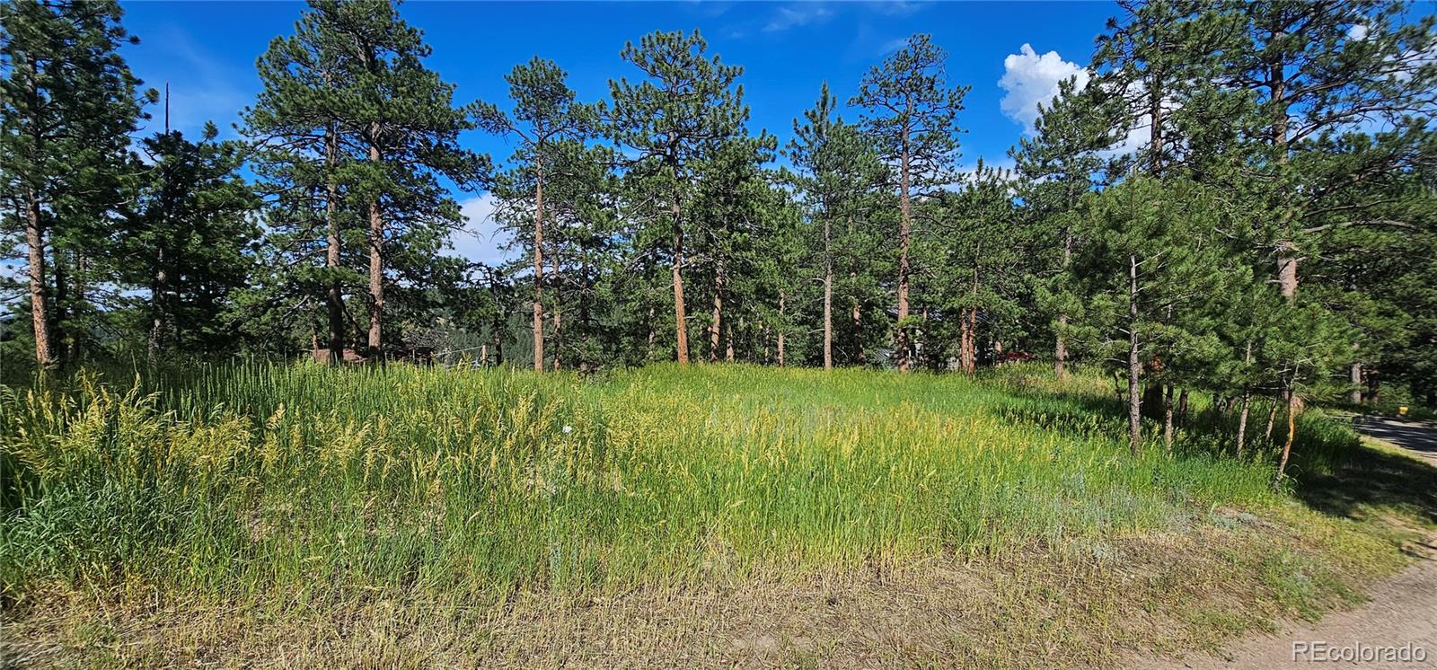 27901 Pine Drive Evergreen, CO 80439 - Photo 5 of 32