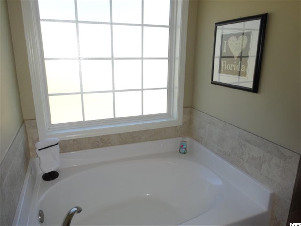 287 Georgia Mae Loop Conway, SC 29527 - Photo 10 of 16 Gallery Image 10