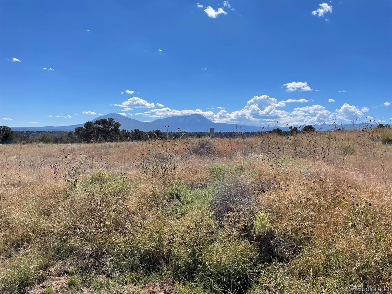 Lot 4 Navajo Ranch, Unit 4 Walsenburg, CO 81089 - Photo 3 of 18