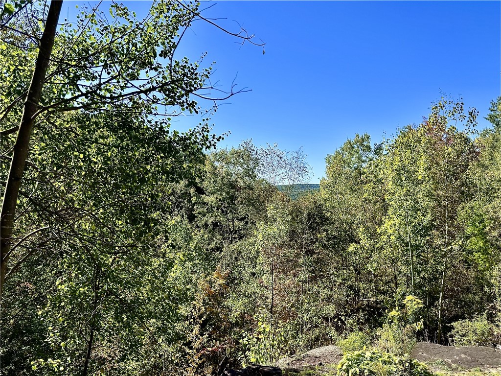 277 Miller Hill Road Oneonta, NY 13820 - Photo 14 of 18