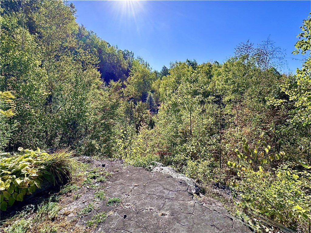 277 Miller Hill Road Oneonta, NY 13820 - Photo 3 of 18