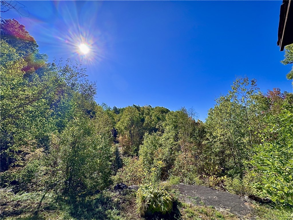 277 Miller Hill Road Oneonta, NY 13820 - Photo 4 of 18