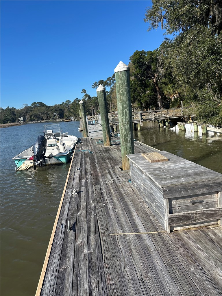 1809 Hird Island Darien, GA 31305 - Photo 39 of 51 Dock View